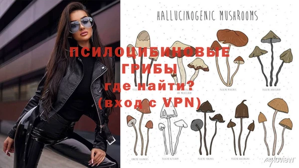 шишки Шарыпово