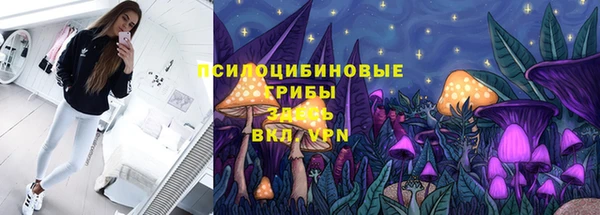 mdpv Кинешма